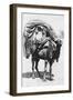 A Girl on a Camel Litter, Algeria, 1922-Crete-Framed Giclee Print