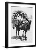 A Girl on a Camel Litter, Algeria, 1922-Crete-Framed Giclee Print