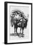 A Girl on a Camel Litter, Algeria, 1922-Crete-Framed Giclee Print