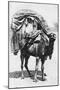 A Girl on a Camel Litter, Algeria, 1922-Crete-Mounted Giclee Print