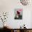 A Girl Rests on a Boat Below the Chinese National Flag-null-Framed Photographic Print displayed on a wall