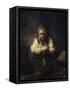 A Girl with a Broom-Carel Fabritius-Framed Stretched Canvas