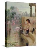 A Girl with Flamingos-Arthur Drummond-Stretched Canvas