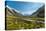 A glacier fed creek cuts through a green valley high in the mountains, South Island, New Zealand-Logan Brown-Stretched Canvas