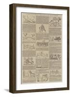 A Glance at the Zoological Representations on the Nineveh Bas-Reliefs-null-Framed Giclee Print