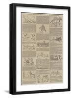 A Glance at the Zoological Representations on the Nineveh Bas-Reliefs-null-Framed Premium Giclee Print