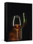 A Glass and a Bottle of Cognac-Armin Faber-Framed Stretched Canvas