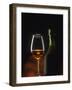 A Glass and a Bottle of Cognac-Armin Faber-Framed Photographic Print