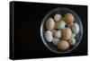 A Glass Bowl Full of Colorful Backyard Chicken Eggs-Cynthia Classen-Framed Stretched Canvas