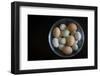 A Glass Bowl Full of Colorful Backyard Chicken Eggs-Cynthia Classen-Framed Photographic Print