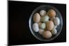 A Glass Bowl Full of Colorful Backyard Chicken Eggs-Cynthia Classen-Mounted Photographic Print