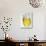 A Glass of Beer-Tarek Mourad-Stretched Canvas displayed on a wall