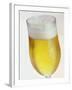 A Glass of Beer-Tarek Mourad-Framed Photographic Print