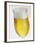 A Glass of Beer-Tarek Mourad-Framed Photographic Print
