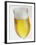 A Glass of Beer-Tarek Mourad-Framed Photographic Print