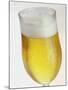A Glass of Beer-Tarek Mourad-Mounted Photographic Print