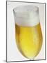 A Glass of Beer-Tarek Mourad-Mounted Photographic Print