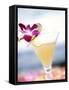 A Glass of Daiquiri, Garnished with Lime Peel & Flower-null-Framed Stretched Canvas