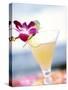 A Glass of Daiquiri, Garnished with Lime Peel & Flower-null-Stretched Canvas