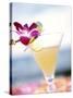 A Glass of Daiquiri, Garnished with Lime Peel & Flower-null-Stretched Canvas