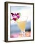 A Glass of Daiquiri, Garnished with Lime Peel & Flower-null-Framed Photographic Print