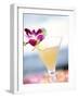 A Glass of Daiquiri, Garnished with Lime Peel & Flower-null-Framed Photographic Print