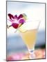 A Glass of Daiquiri, Garnished with Lime Peel & Flower-null-Mounted Photographic Print