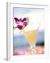 A Glass of Daiquiri, Garnished with Lime Peel & Flower-null-Framed Photographic Print