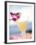 A Glass of Daiquiri, Garnished with Lime Peel & Flower-null-Framed Photographic Print