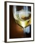 A Glass of Green Veltliner Wine-Herbert Lehmann-Framed Photographic Print