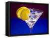 A Glass of Martini with Ice Cubes and Lemon Slices-null-Framed Stretched Canvas