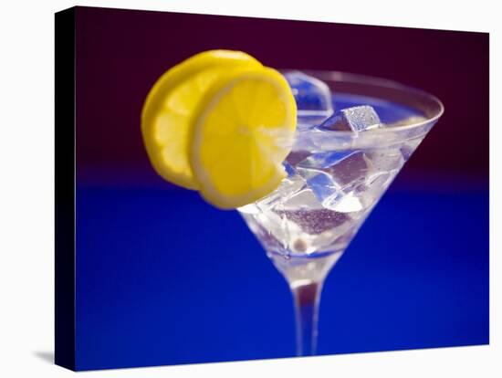 A Glass of Martini with Ice Cubes and Lemon Slices-null-Stretched Canvas