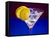 A Glass of Martini with Ice Cubes and Lemon Slices-null-Framed Stretched Canvas