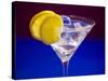 A Glass of Martini with Ice Cubes and Lemon Slices-null-Stretched Canvas