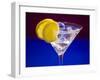 A Glass of Martini with Ice Cubes and Lemon Slices-null-Framed Photographic Print