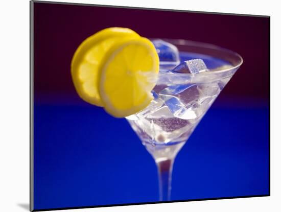 A Glass of Martini with Ice Cubes and Lemon Slices-null-Mounted Photographic Print