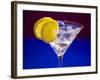 A Glass of Martini with Ice Cubes and Lemon Slices-null-Framed Photographic Print