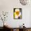 A Glass of Orange Juice-Malgorzata Stepien-Framed Stretched Canvas displayed on a wall