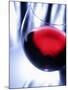 A Glass of Red Wine, Close-Up-Joerg Lehmann-Mounted Photographic Print