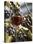 A Glass of Red Wine with Grapes in the Background-Karl Newedel-Stretched Canvas