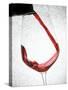 A Glass of Red Wine-Steven Morris-Stretched Canvas