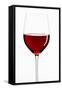 A Glass of Red Wine-Peter Rees-Framed Stretched Canvas