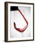 A Glass of Red Wine-Steven Morris-Framed Photographic Print