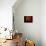 A Glass of Red Wine-Anders Ludvigson-Framed Stretched Canvas displayed on a wall