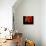 A Glass of Red Wine-Anders Ludvigson-Photographic Print displayed on a wall