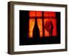 A Glass of Red Wine-Anders Ludvigson-Framed Photographic Print