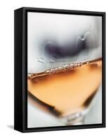 A Glass of Rose Wine-Herbert Lehmann-Framed Stretched Canvas