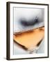 A Glass of Rose Wine-Herbert Lehmann-Framed Photographic Print