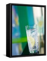 A Glass of Sparkling Mineral Water with a Wedge of Lemon-Brigitte Protzel-Framed Stretched Canvas