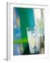 A Glass of Sparkling Mineral Water with a Wedge of Lemon-Brigitte Protzel-Framed Photographic Print